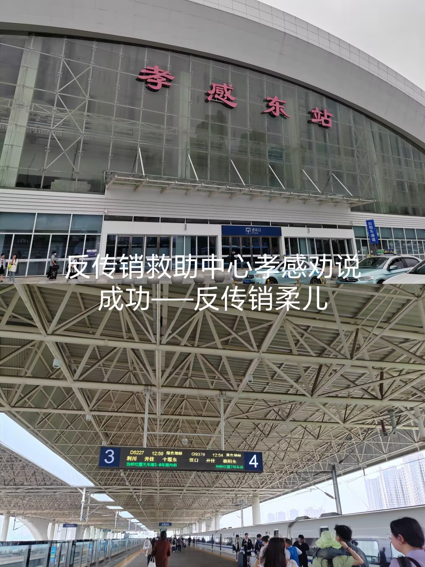 QQ图片20230511175156.jpg