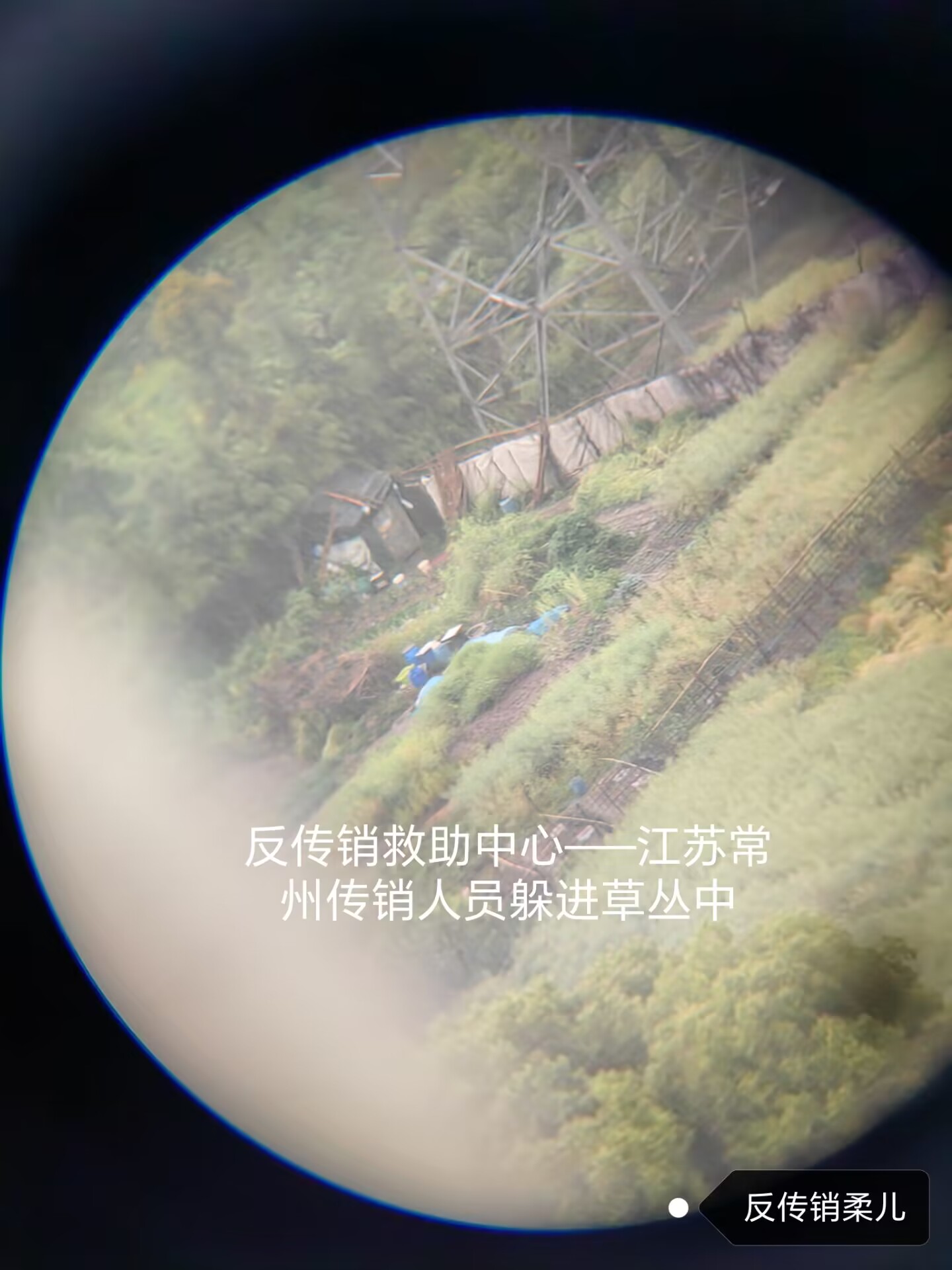 QQ图片20230513100743.jpg