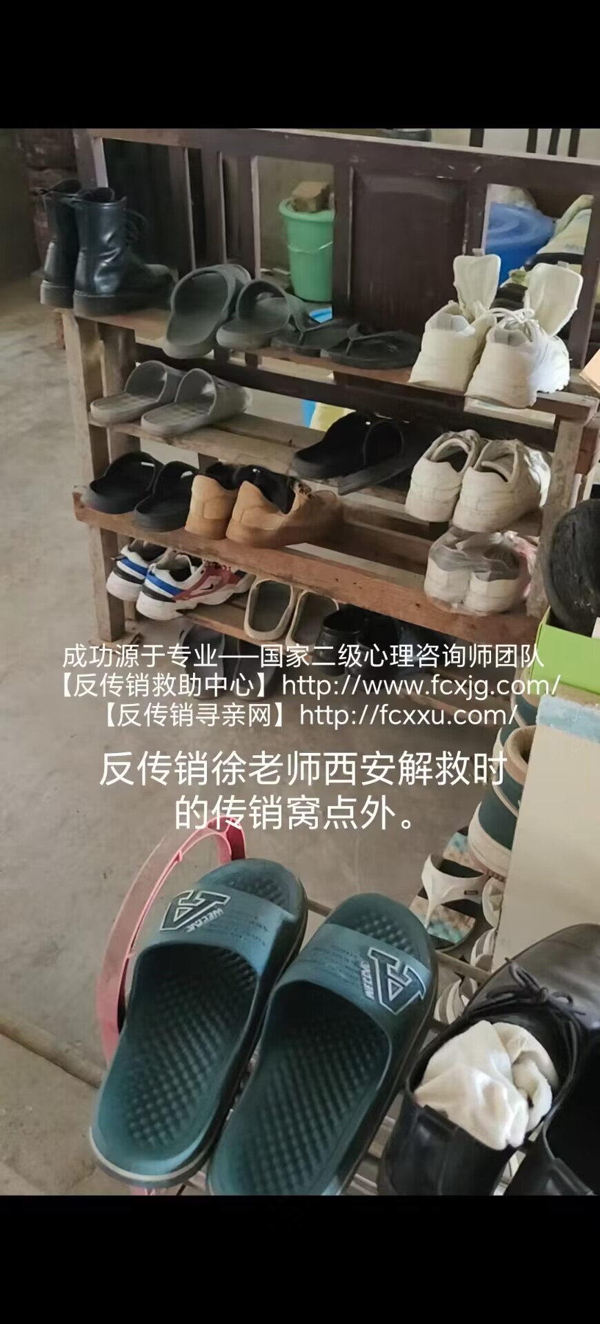 QQ图片20230611135256.jpg