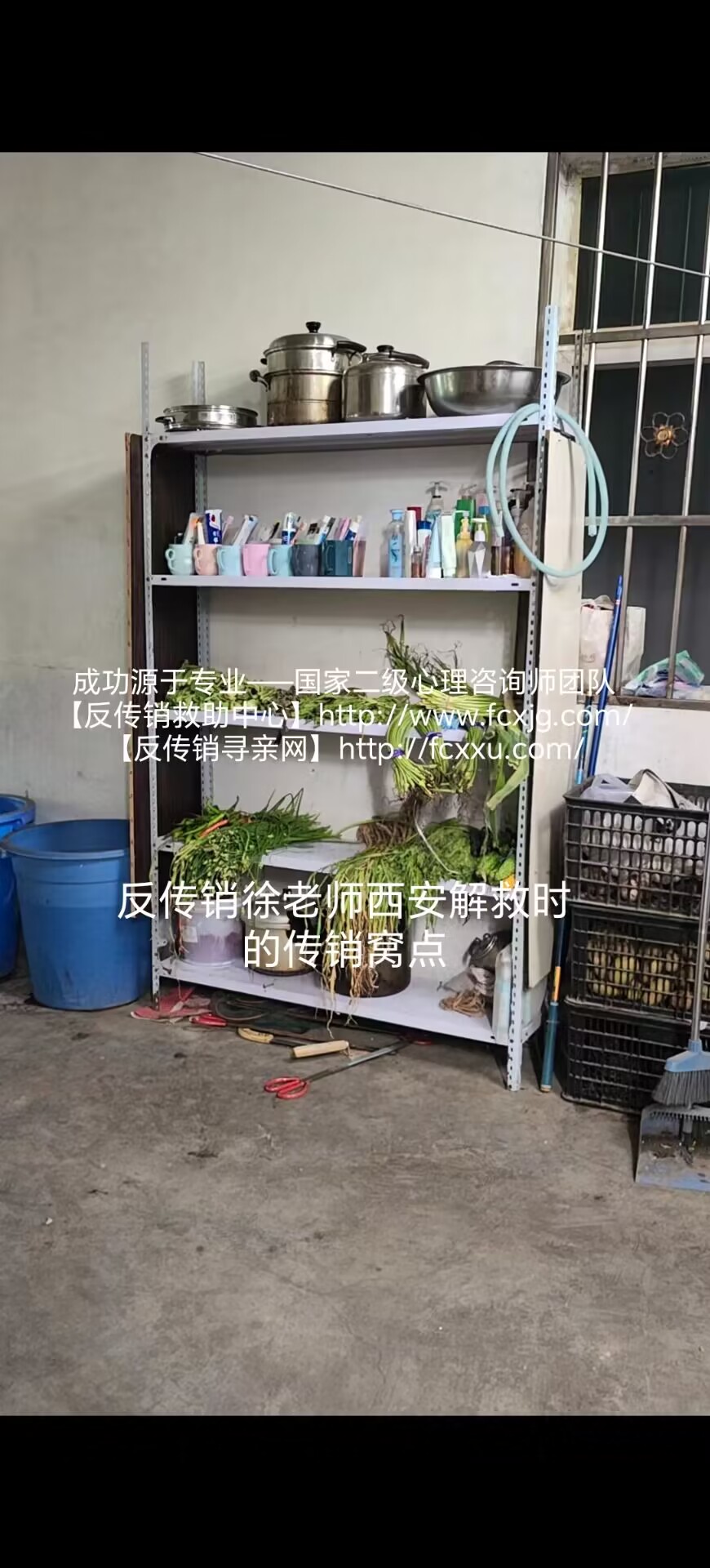 QQ图片20230611135302.jpg